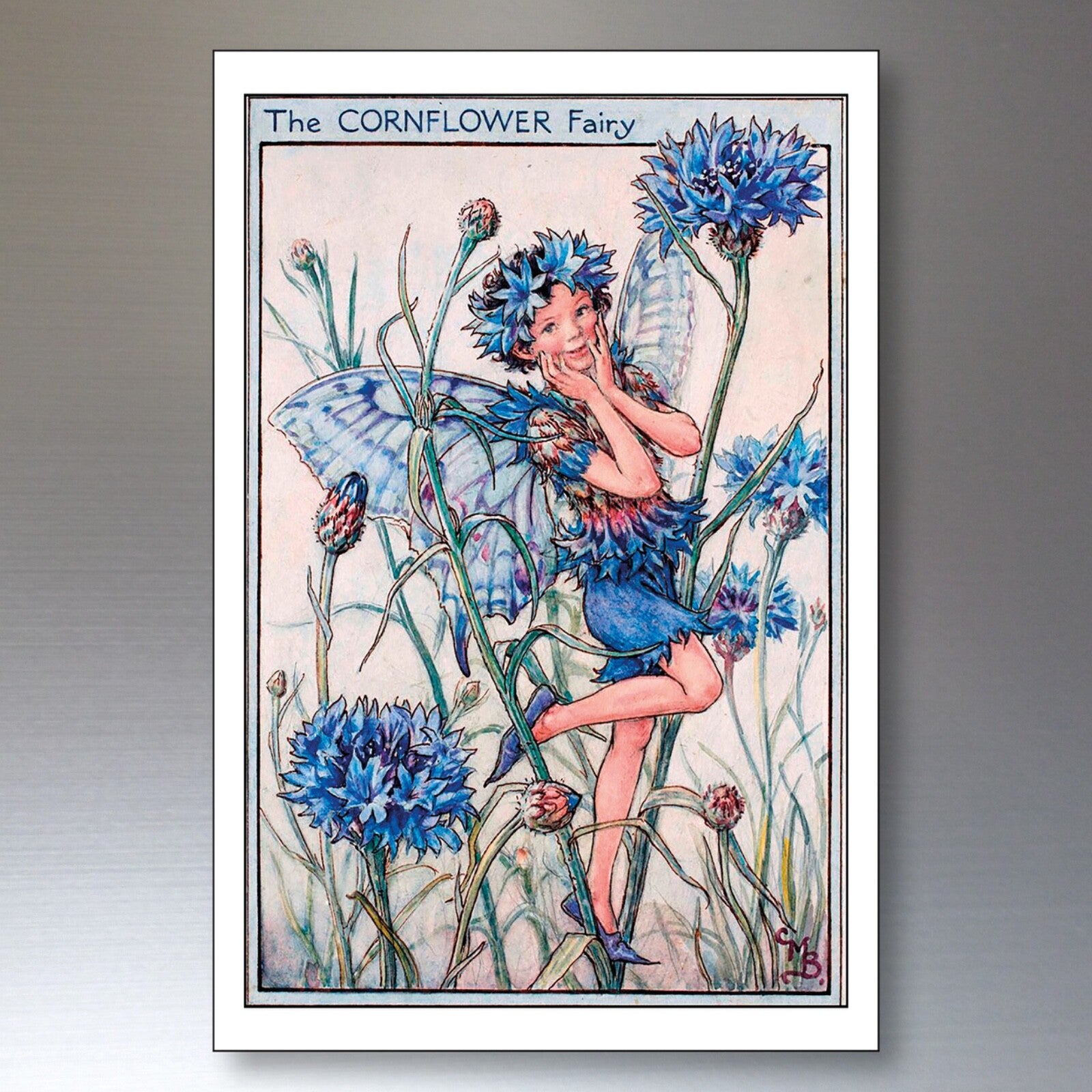 Set of 8 vintage fairy Victorian garden fairy fridge magnets with decorative Victorian illustrations, perfect for decorating refrigerators.