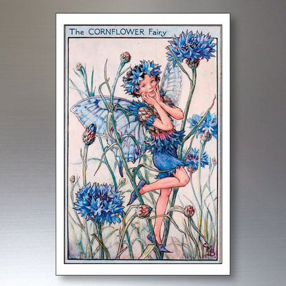 Set of 8 vintage fairy Victorian garden fairy fridge magnets with decorative Victorian illustrations, perfect for decorating refrigerators.