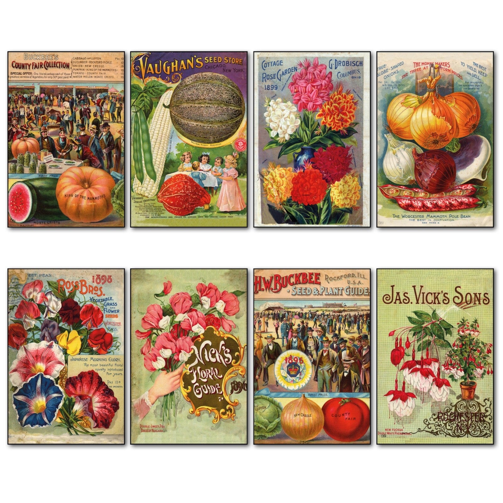 Set of 8 vintage botanical seed packet fridge magnets by bvdb, featuring detailed horticultural seed packet designs.