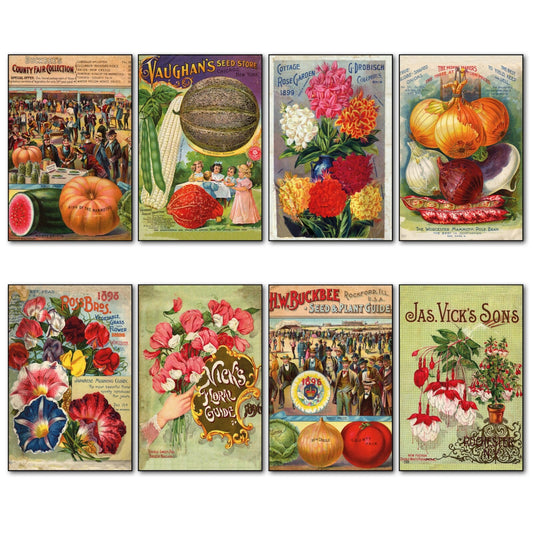 Set of 8 vintage botanical seed packet fridge magnets by bvdb, featuring detailed horticultural seed packet designs.