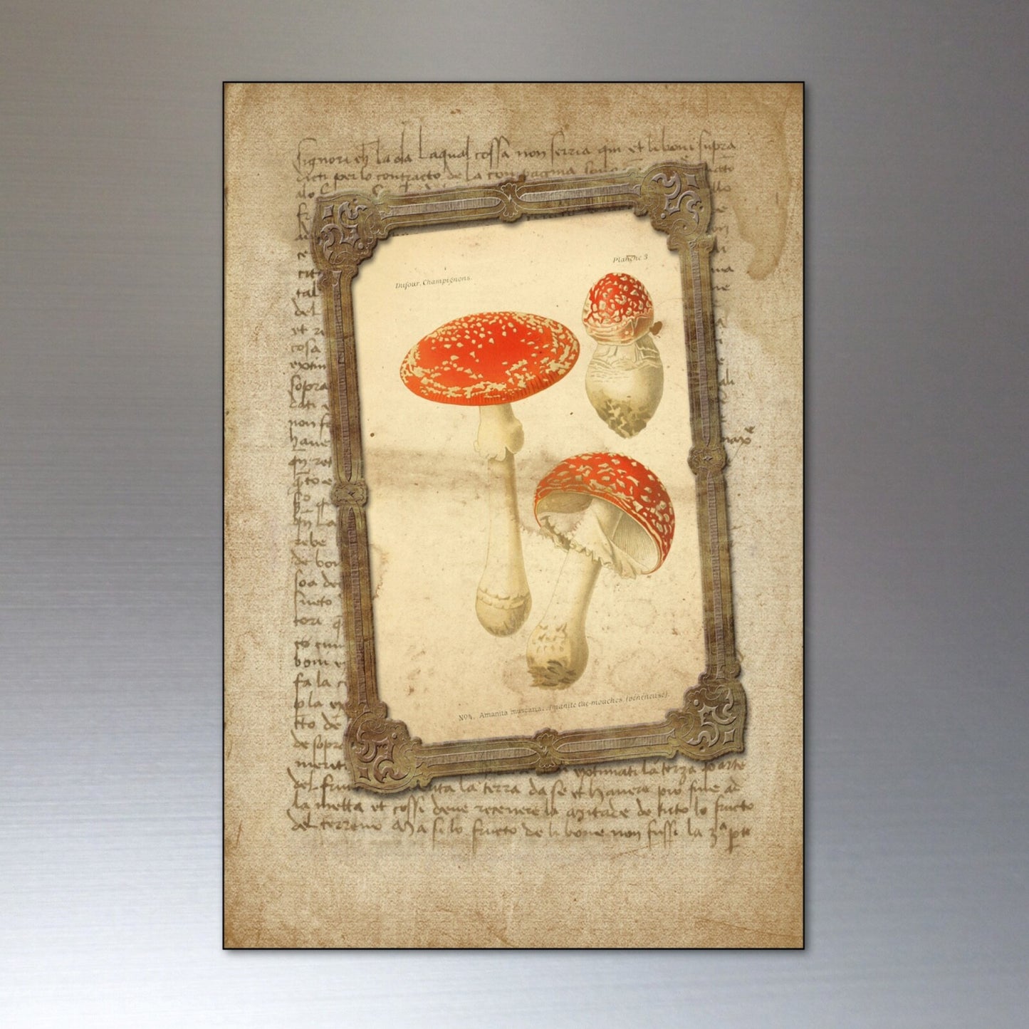 Vintage Victorian mystic design fridge magnets set featuring pagan symbols and decorative artwork for refrigerator decor.