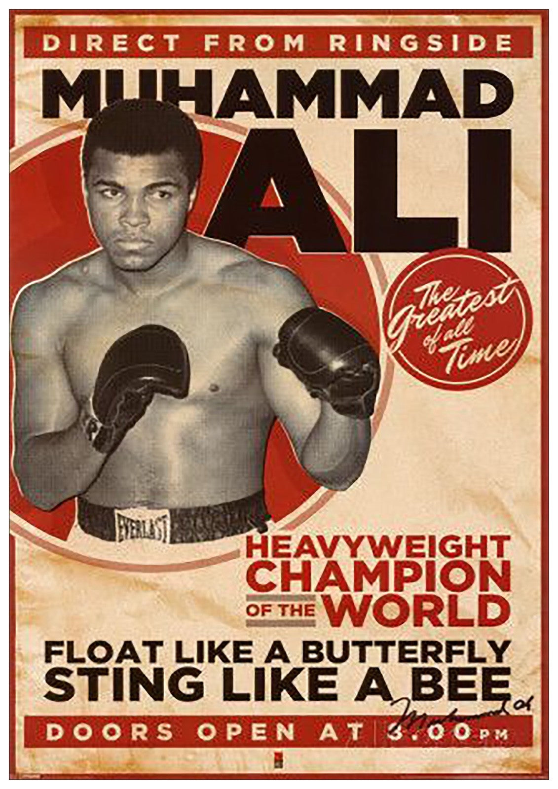 Vintage Muhammad Ali boxing fight poster print by Bubbadoodoo, featuring classic boxing promotional artwork.