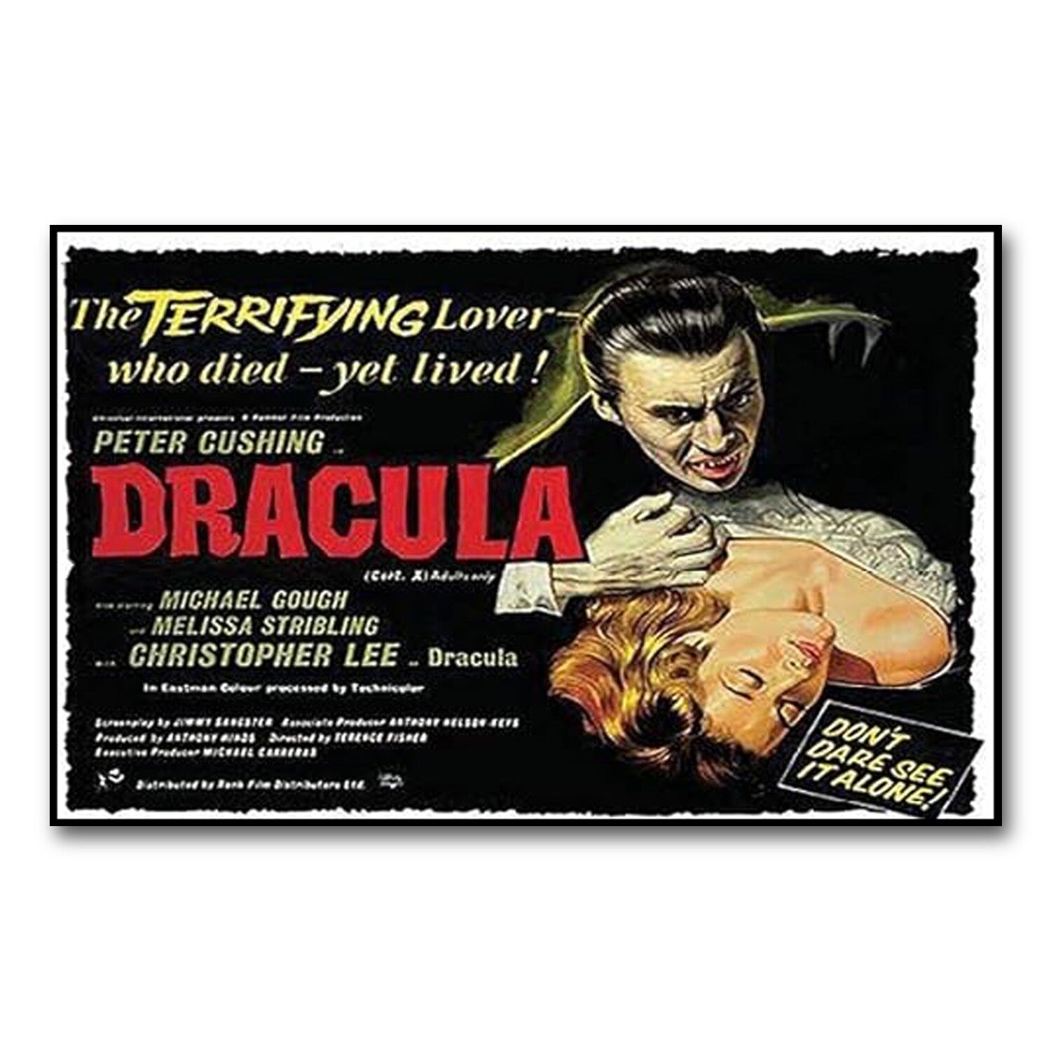 Set of 8 vintage Hammer Horror movie poster fridge magnets featuring classic horror film artwork and designs.