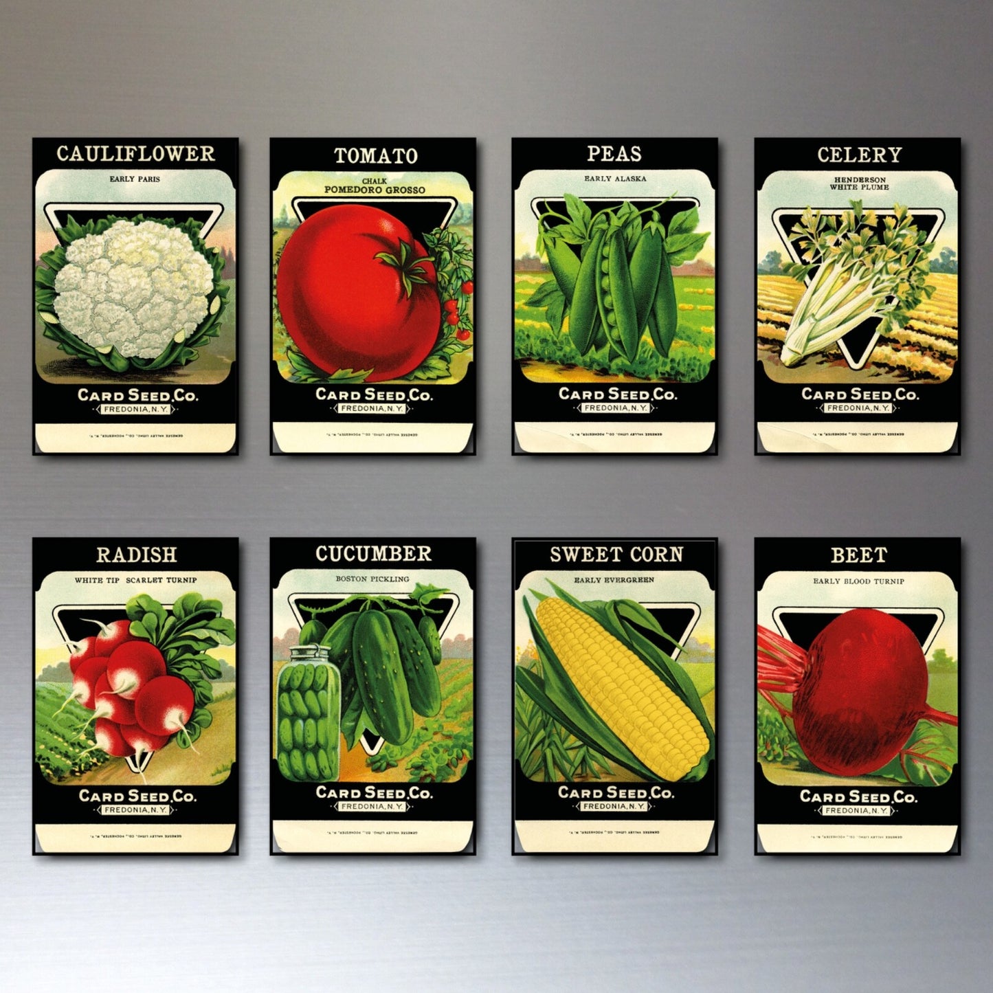 Set of 8 vintage botanical seed packet fridge magnets featuring colorful floral and plant illustrations, no branding visible.