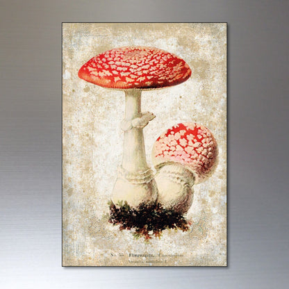 Set of 8 vintage Victorian-style mushroom illustration magnets, perfect for foraging, pagan decor, or nature-themed collections.