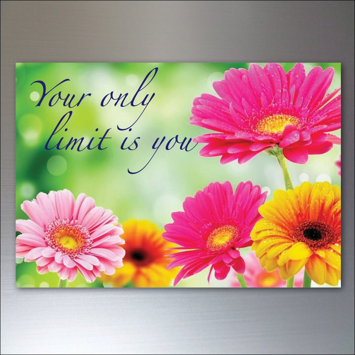 Set of 8 wellness motivational and inspirational quotes fridge magnets with colorful designs and positive message displays.