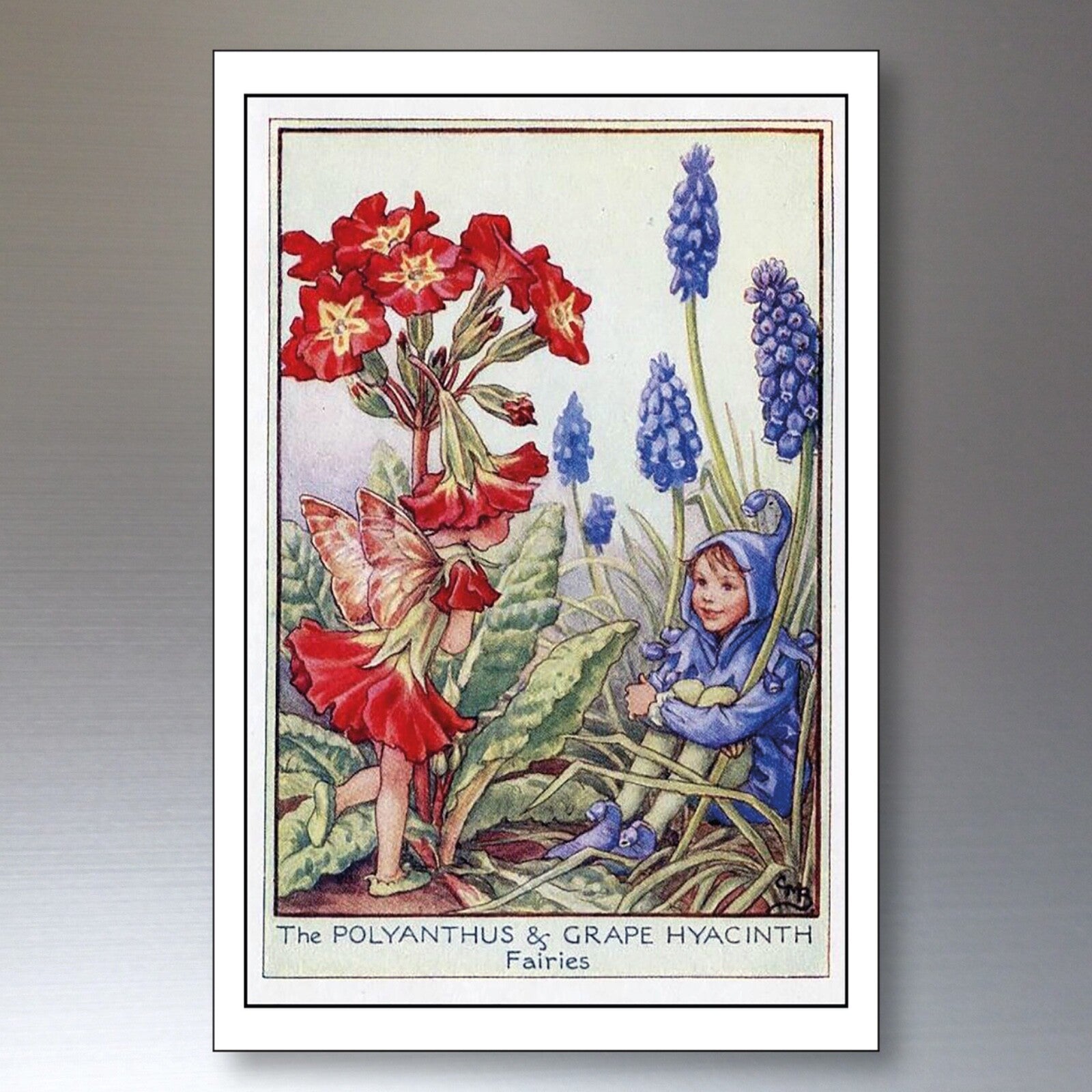 Set of 8 vintage Victorian fairy garden illustration fridge magnets featuring whimsical fairy and floral designs.