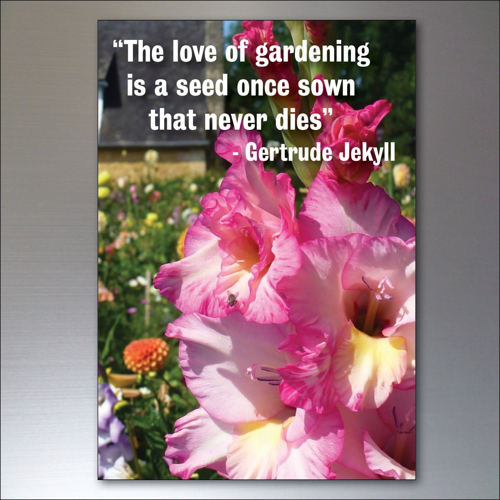 Set of 8 gardening inspiration quotes fridge magnets featuring colorful designs and motivational messages for gardening enthusiasts.