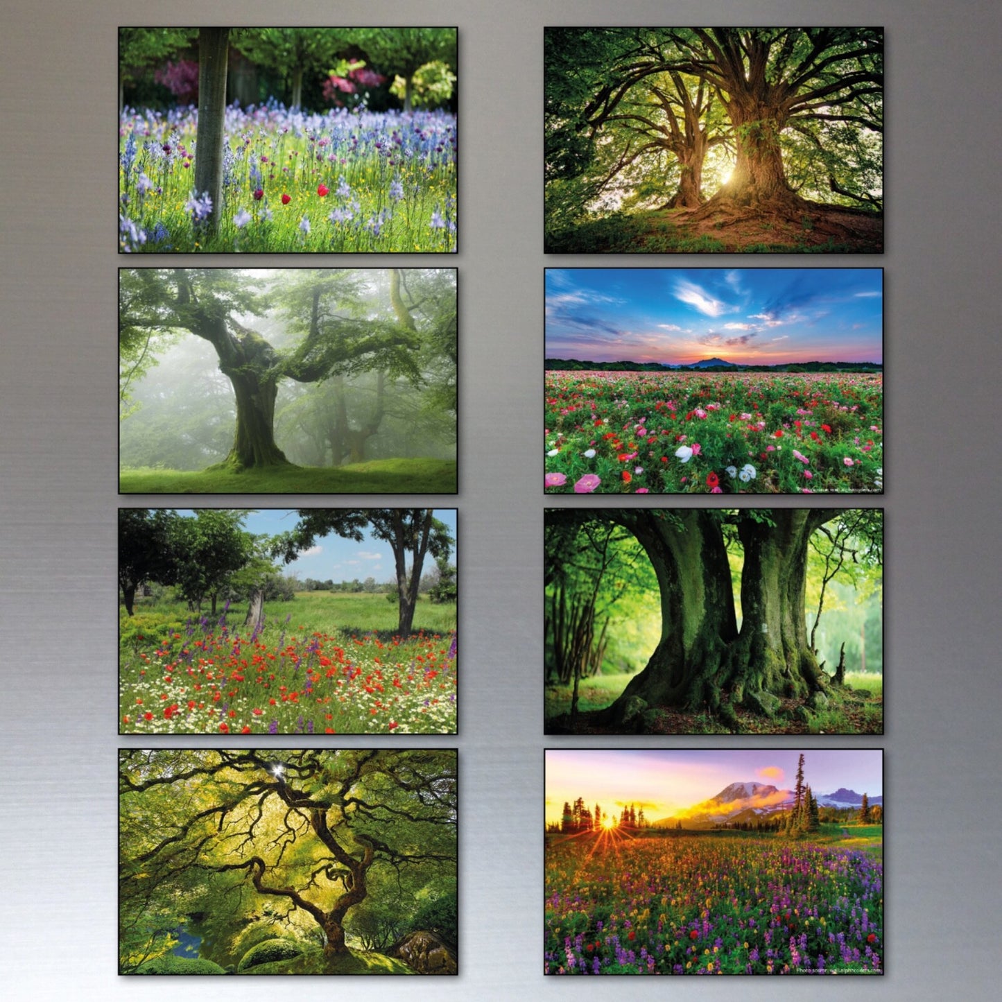 Set of 8 ancient woodland and meadow-themed decorative fridge magnets featuring trees and nature scenes.