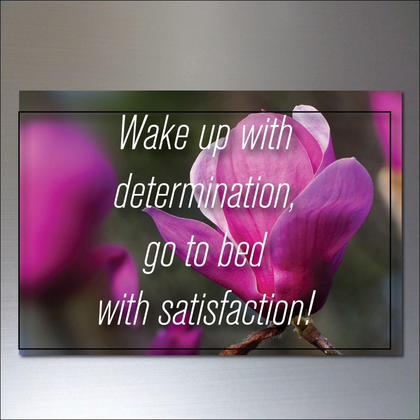 Set of 8 wellness motivational and inspirational quotes fridge magnets, featuring various inspiring messages on colorful backgrounds.