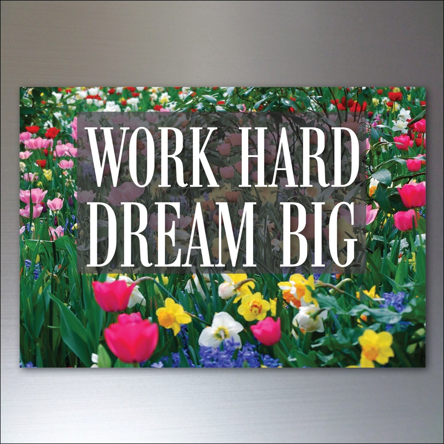 Set of 8 wellness motivational and inspirational quotes fridge magnets, featuring colorful designs and uplifting messages.