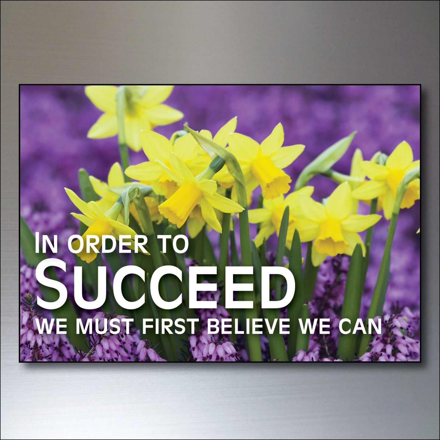 Set of 8 wellness motivational and inspirational quotes fridge magnets, featuring colorful designs and uplifting messages.