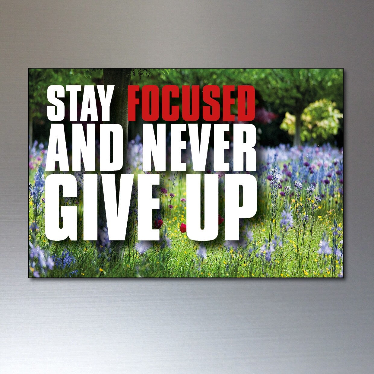 Set of 8 vintage retro motivational and inspirational quote fridge magnets, featuring various uplifting messages.