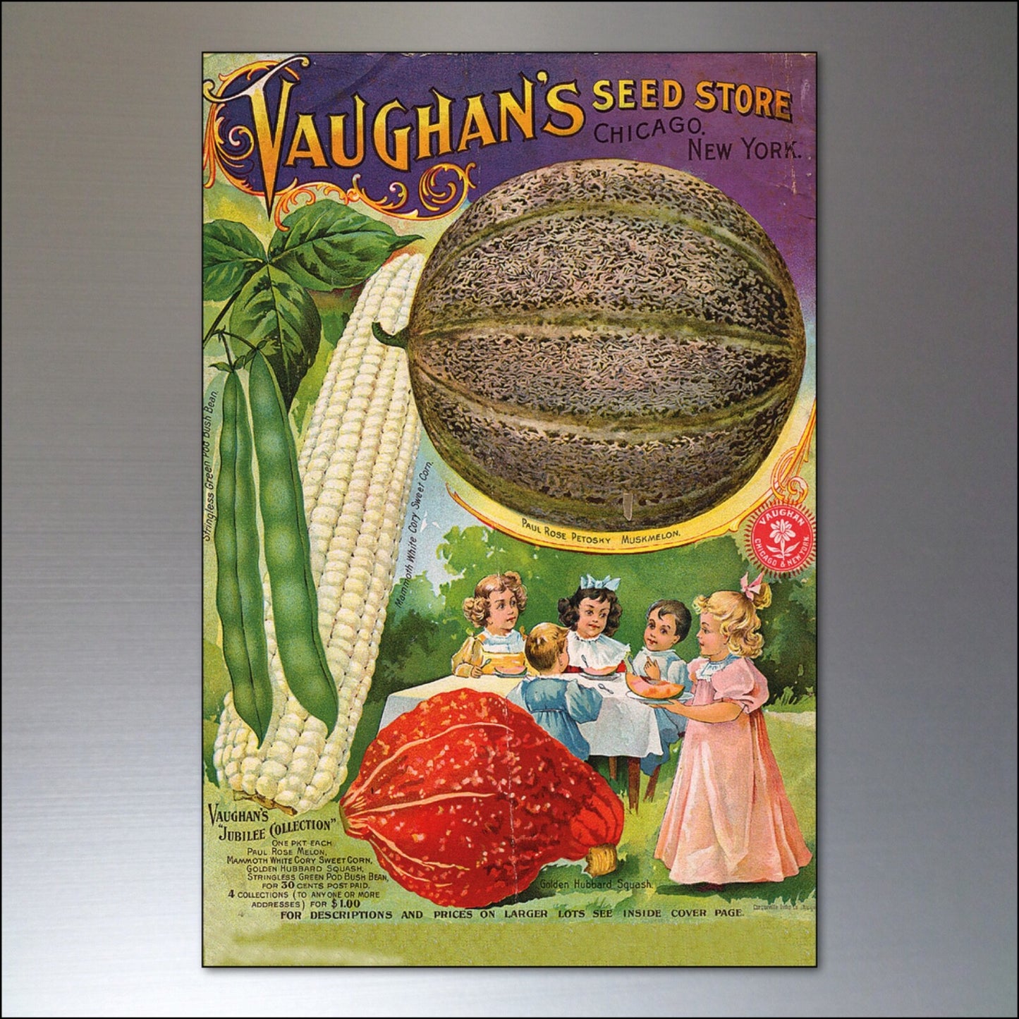 Set of 8 vintage botanical seed packet fridge magnets by bvdb, featuring detailed horticultural illustrations on ceramic surfaces.