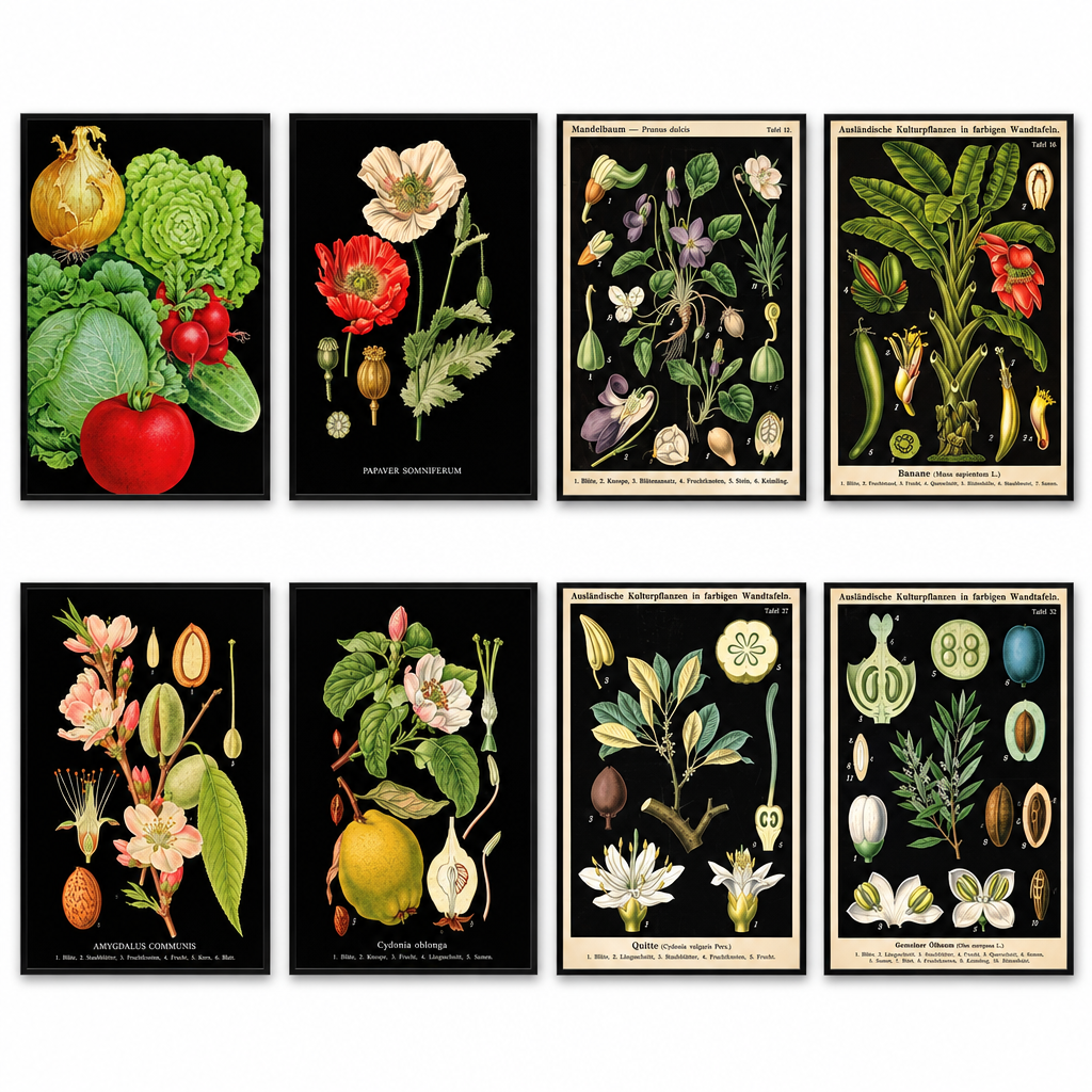Victorian Botanical Scientific Illustration Vintage Fridge Magnets | Set of 8 | No.2