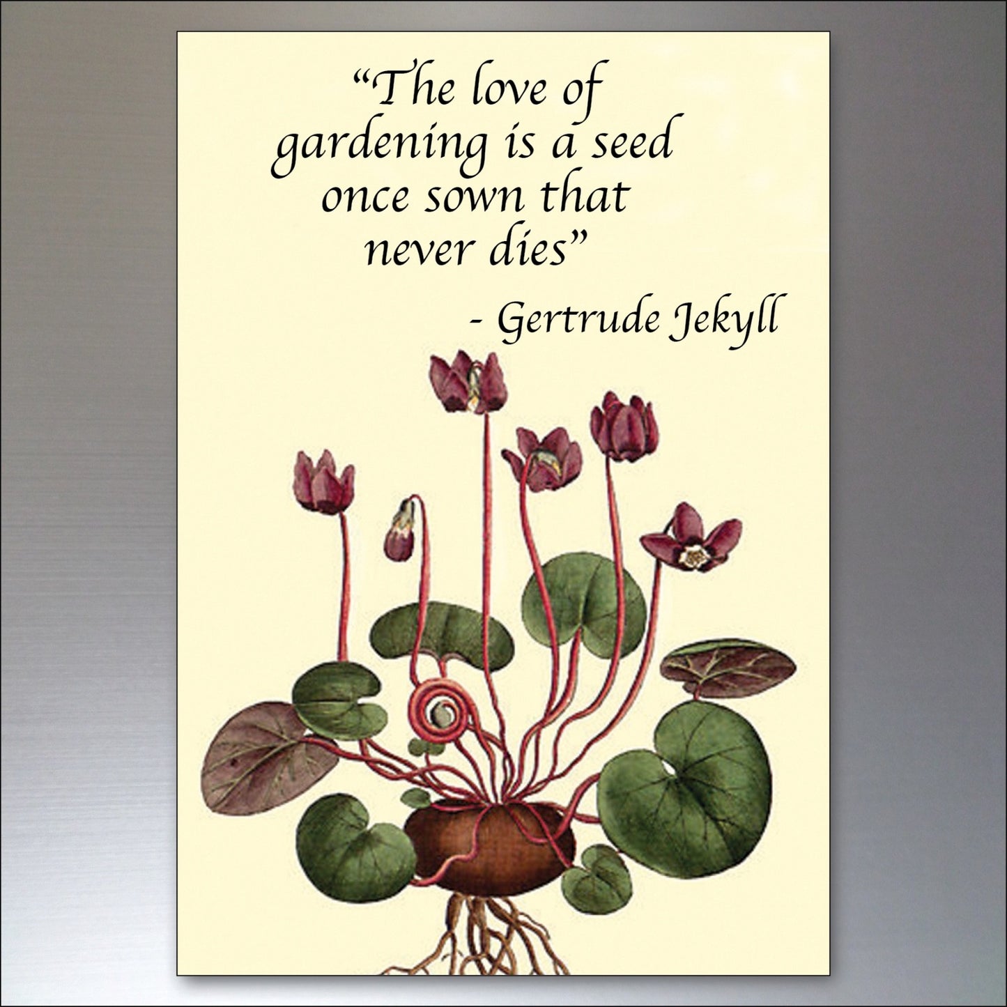 Set of 8 gardening inspiration quotes fridge magnets, featuring colorful designs and motivational messages for garden lovers.