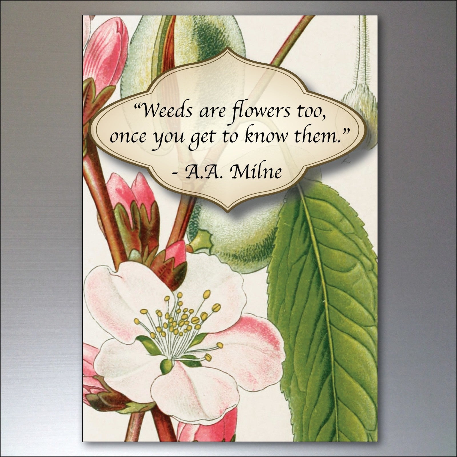 Set of 8 gardening inspiration quotes fridge magnets, featuring colorful designs and motivational messages on each magnet.