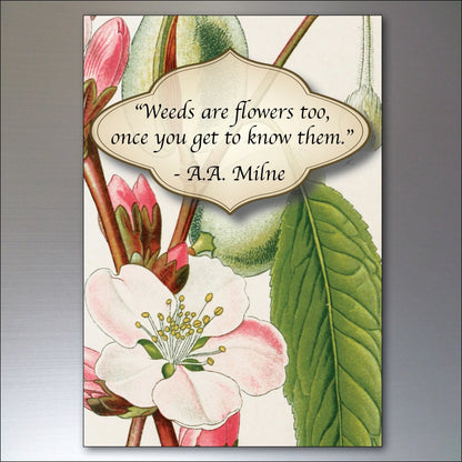 Set of 8 gardening inspiration quotes fridge magnets, featuring colorful designs and motivational messages on each magnet.