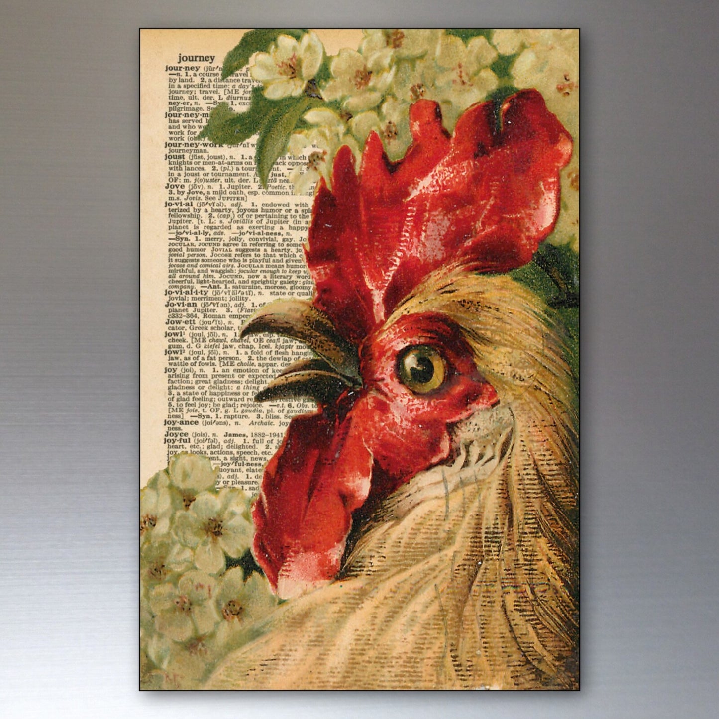 Set of 8 retro chicken keeper art fridge magnets, thin decorative magnetic clips featuring colorful chicken designs.