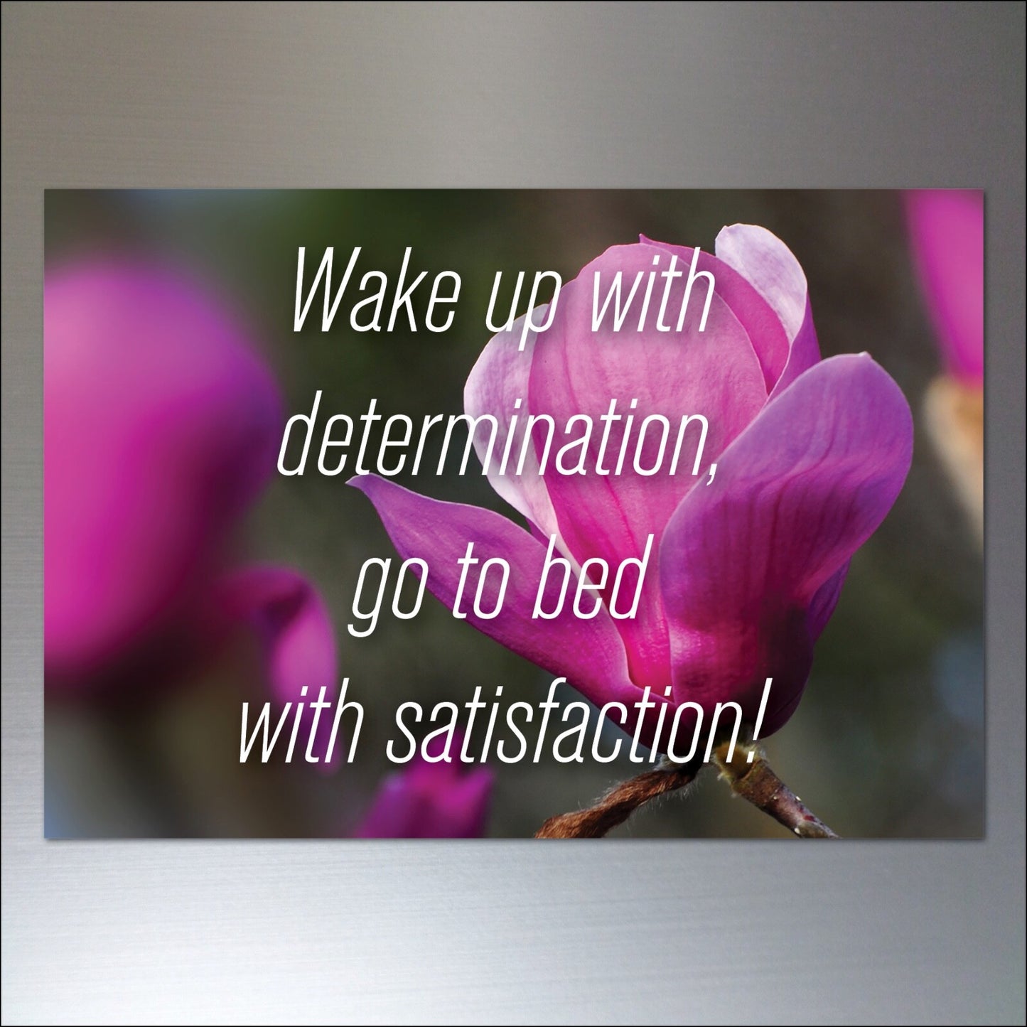 Set of 8 motivational and inspirational quotes fridge magnets by Wellness, featuring colorful designs and uplifting messages.