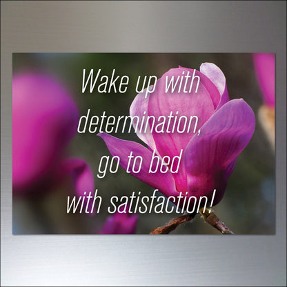 Set of 8 motivational and inspirational quotes fridge magnets by Wellness, featuring colorful designs and uplifting messages.