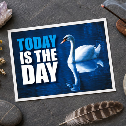 A motivational graphic with the text 'TODAY IS THE DAY' in blue and white lettering next to a white swan swimming in dark blue water with its reflection visible.