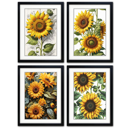 Set of four framed botanical prints featuring yellow sunflowers with green leaves, arranged in a 2x2 grid. Each print is housed in a black frame with a white mat, set against a solid white background.