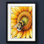 Framed art print featuring a close-up illustration of a bumblebee on a bright yellow sunflower, presented in a black frame with white matting against a white background.