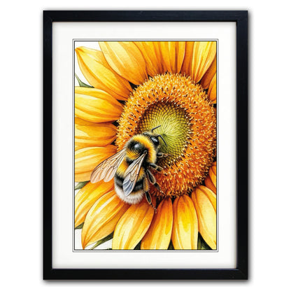 Framed art print featuring a close-up illustration of a bumblebee on a bright yellow sunflower, presented in a black frame with white matting against a white background.