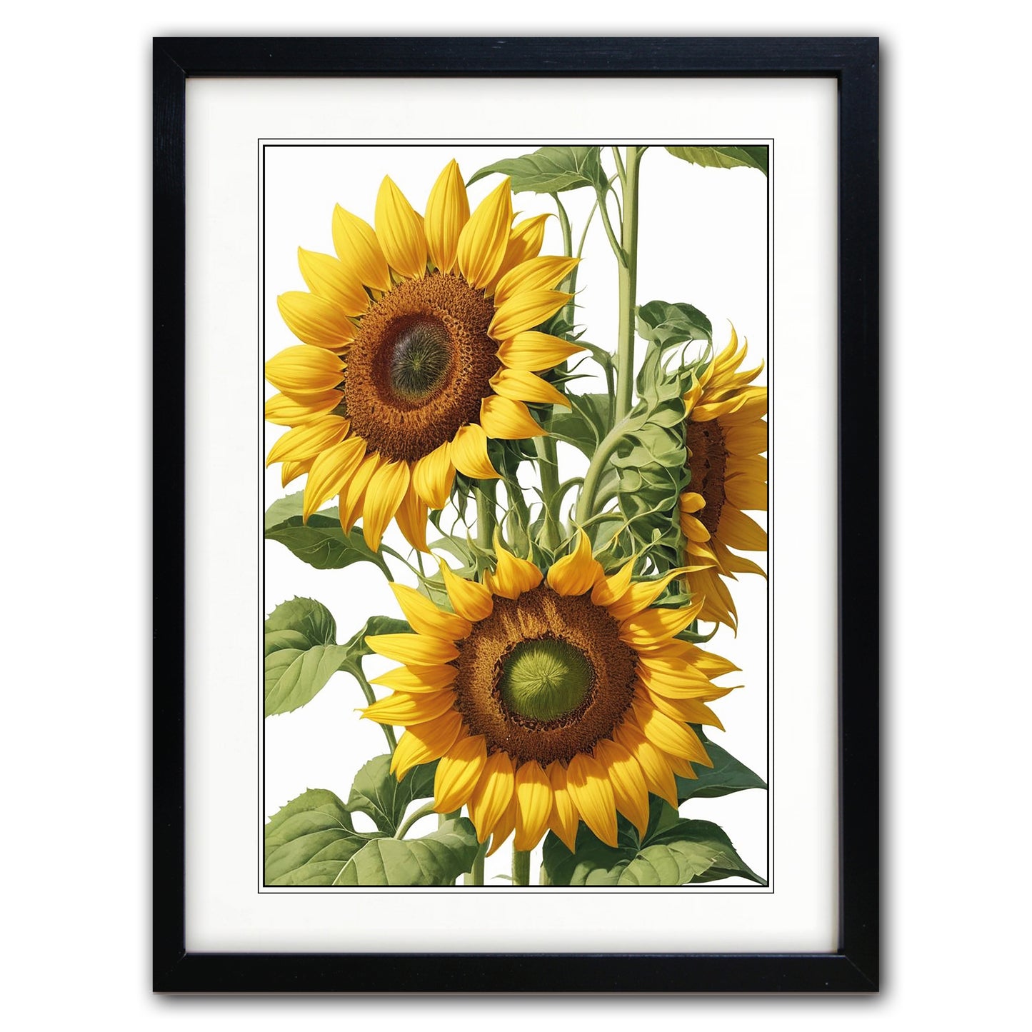 Framed botanical art print featuring three yellow sunflowers with green leaves on a white background, enclosed in a black frame with a white mat.