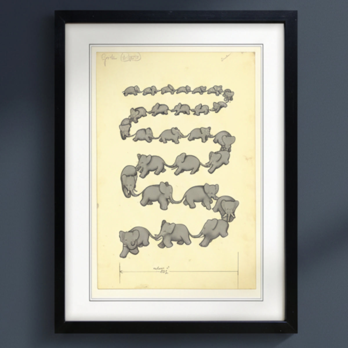 A framed art print featuring a vintage scientific illustration of elephant embryos arranged in wavy rows on a pale yellow background, enclosed in a black frame with a white mat.