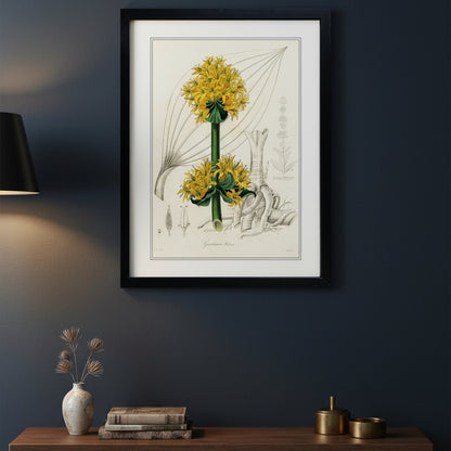 Victorian Botanical Scientific plant detail illustration | A3 Print | No.2