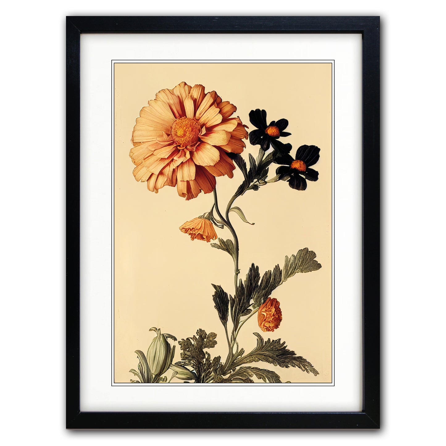 Victorian Botanical Scientific Plant Detail Illustration | A3 Print | No.4