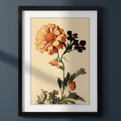 Framed botanical art print featuring a large peach-orange flower and smaller black blossoms with green leaves, displayed against a dark blue-gray wall.