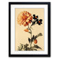 Victorian Botanical Scientific Plant Detail Illustration | A3 Print | No.4