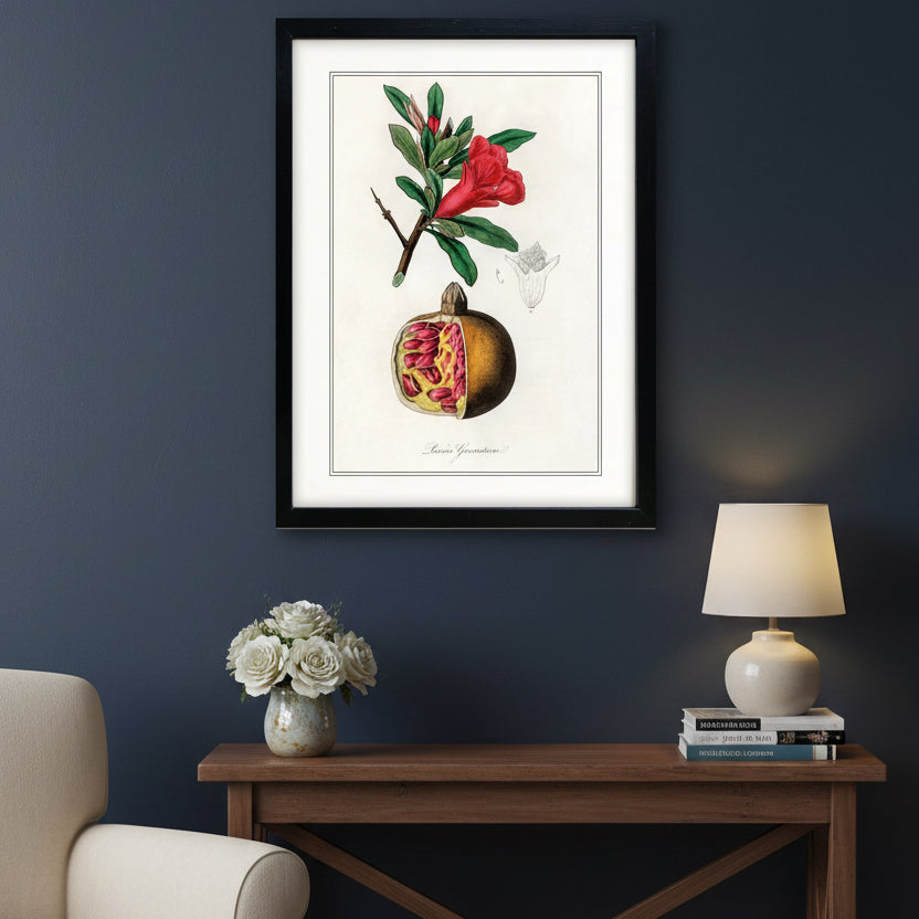 Victorian Botanical Scientific Plant Detail Illustration | A3 Print | No.5