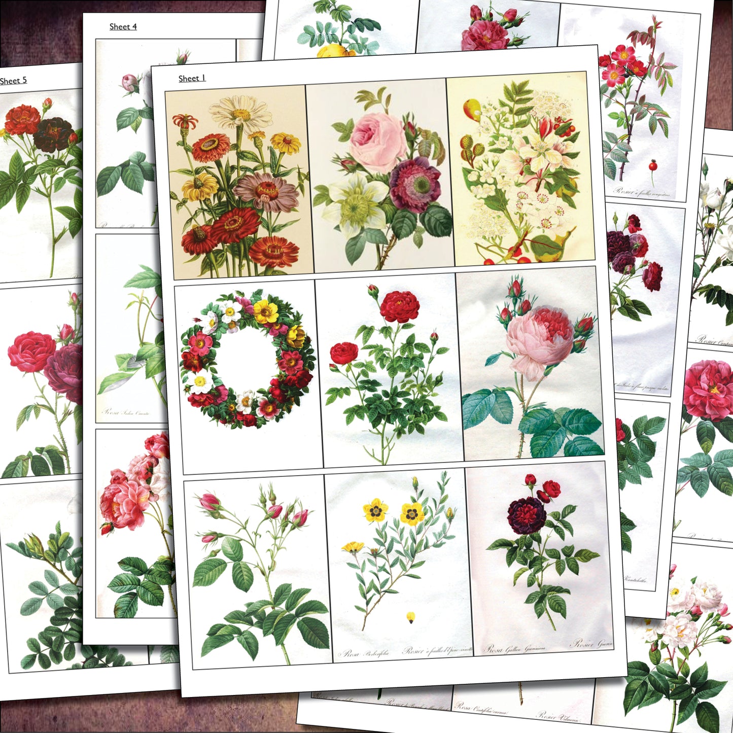 Traditional Floral Botanical Victorian Illustrations | Self-Adhesive Gloss Paper | 5 Sheets
