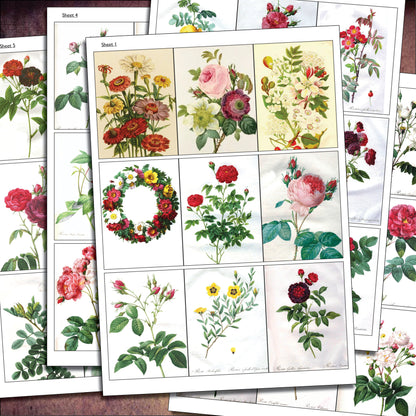 Traditional Floral Botanical Victorian Illustrations | Self-Adhesive Gloss Paper | 5 Sheets