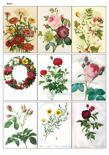 Traditional Floral Botanical Victorian Illustrations | Self-Adhesive Gloss Paper | 5 Sheets