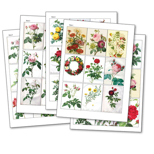 Traditional Floral Botanical Victorian Illustrations | Self-Adhesive Gloss Paper | 5 Sheets