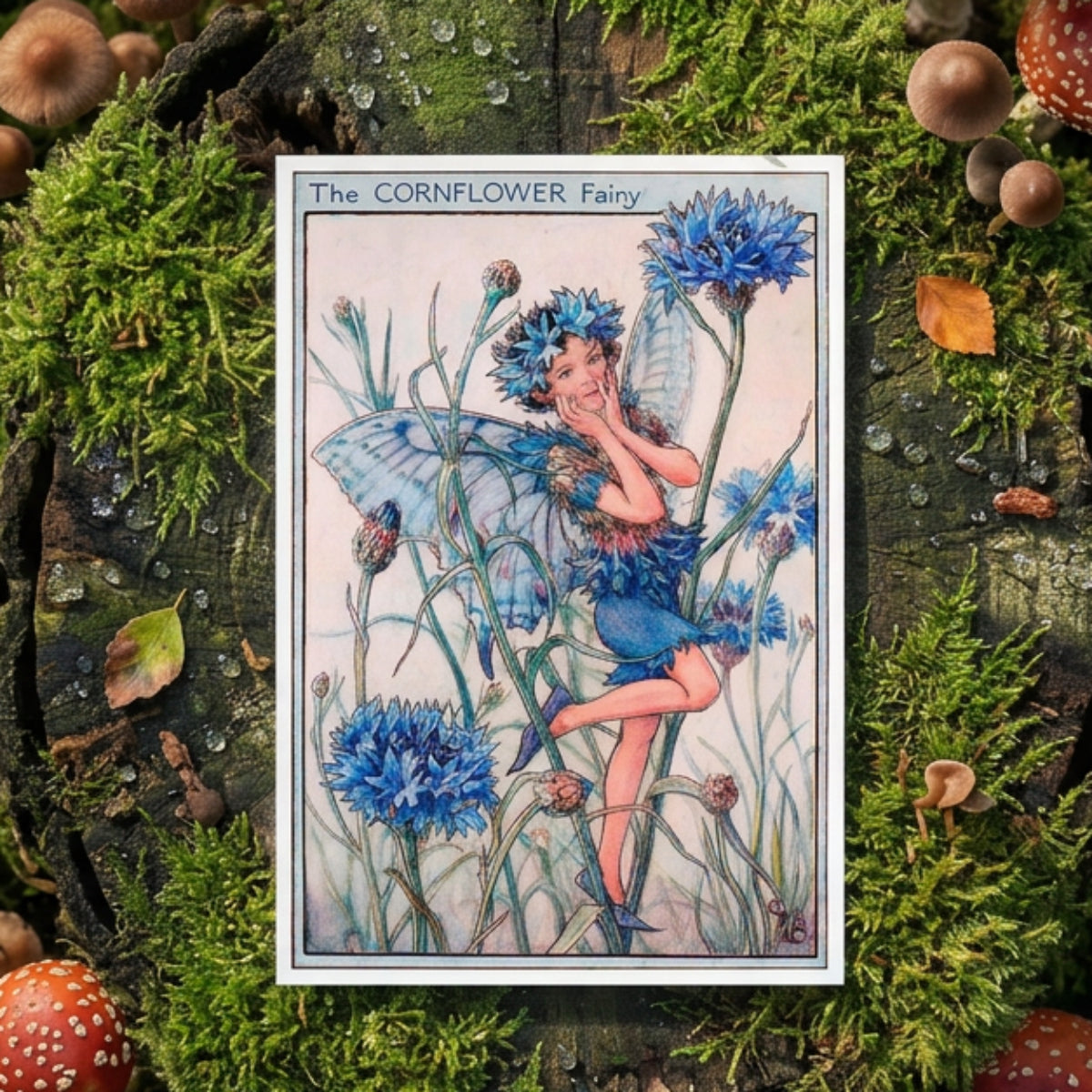 Mystical Vintage Fairies Illustration Postcards | Set of 8