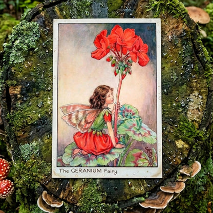 Mystical Vintage Fairies Illustration Postcards | Set of 8