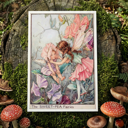 Mystical Vintage Fairies Illustration Postcards | Set of 8