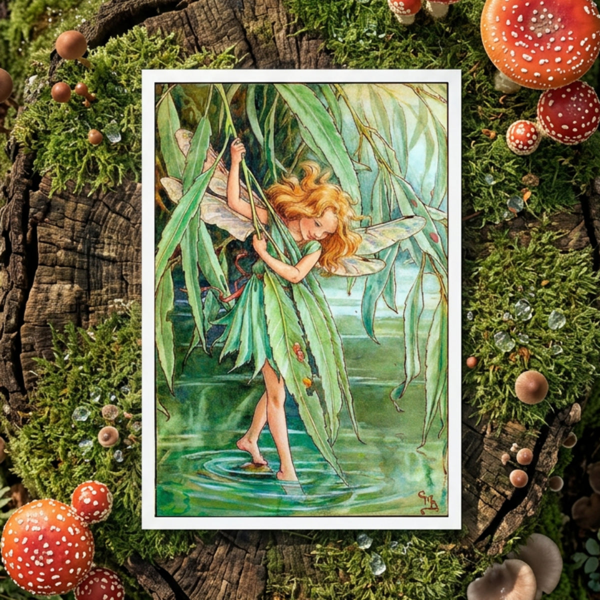 Mystical Vintage Fairies Illustration Postcards | Set of 8