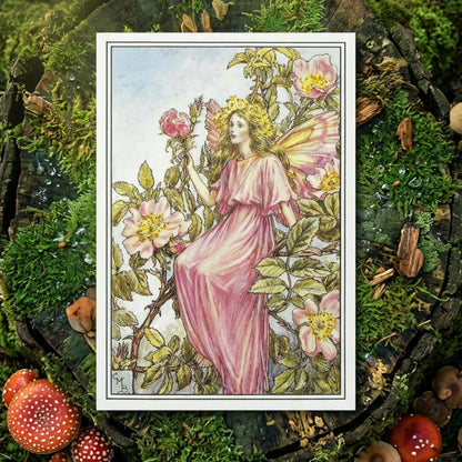 A vintage-style fairy illustration surrounded by pink roses and green leaves. The fairy wears a flowing pink gown and a golden crown, with translucent pink wings, set against a pale sky background.