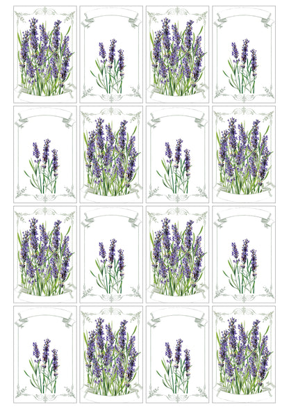 Vintage Bubbadoodoo jam conserve labels for homemade jam jars, featuring elegant print designs for personalized jar labeling.