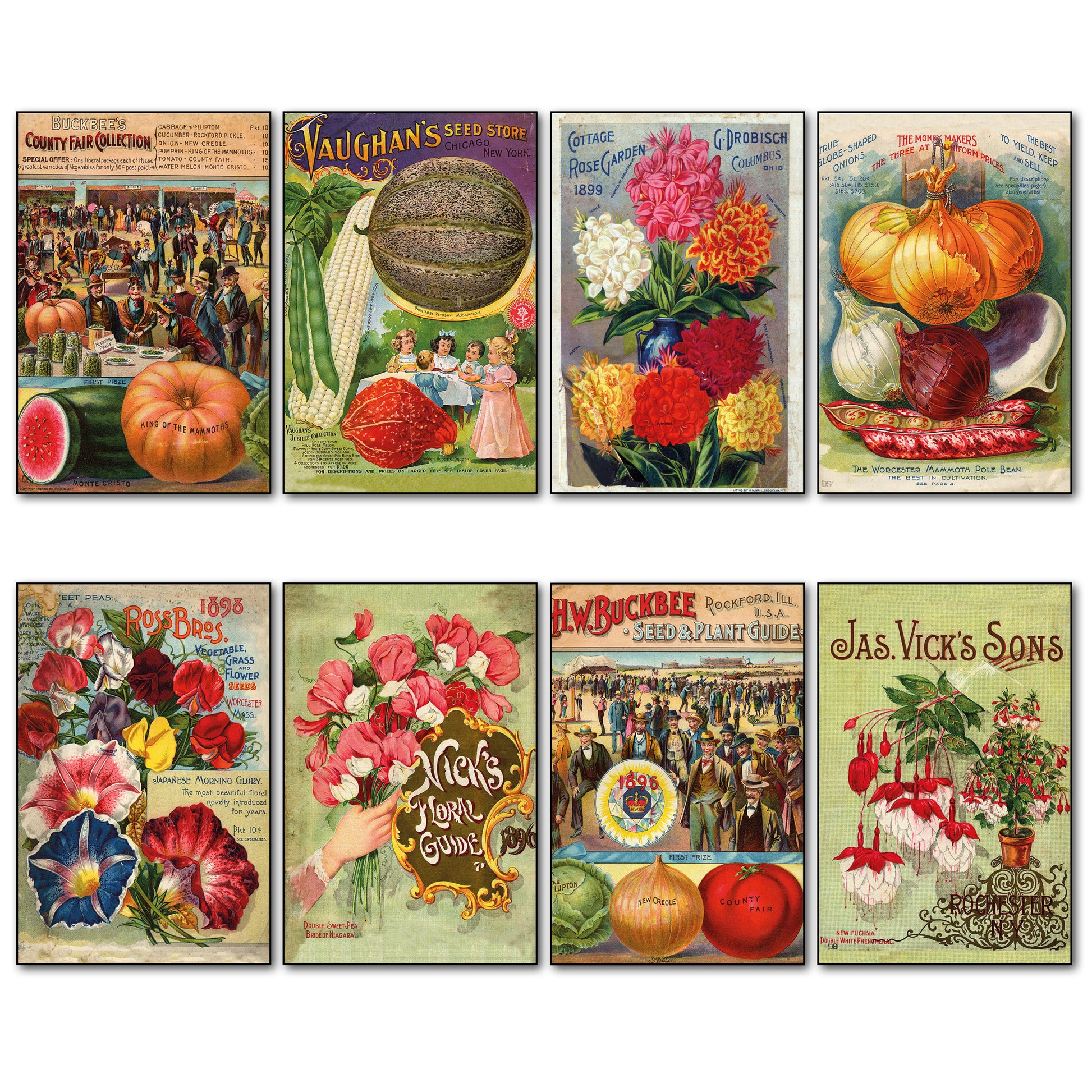 Set of 8 vintage botanical seed packet fridge magnets by Bubbadoodoo, featuring detailed floral and plant illustrations.