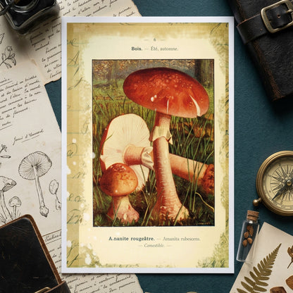 Victorian Pagan Wiccan Crystal Enchanted Woodland | Postcard Pack of 8 | No.1