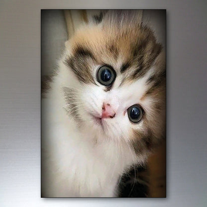 Cute Cat Fridge Magnets | Set of 8 | No.1