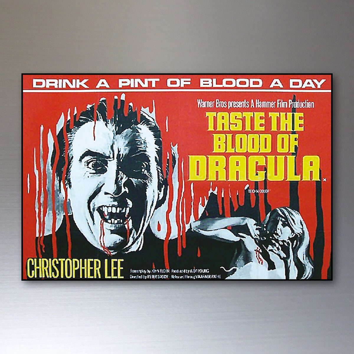 Vintage Hammer Horror Movie Poster Fridge Magnets Set of 8 | Classic Horror Gift | No.1